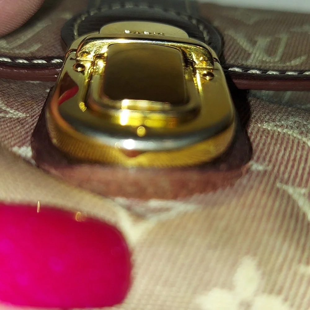 Louis Vuitton authentic louis